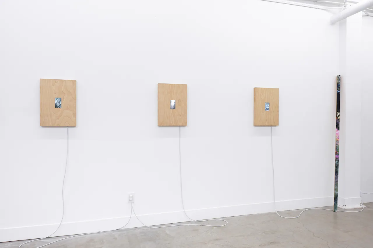Exhibition view