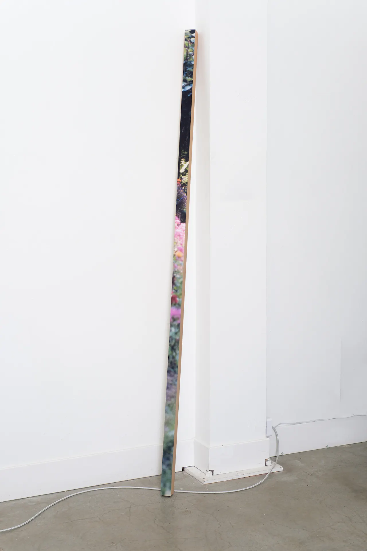 Exhibition view
