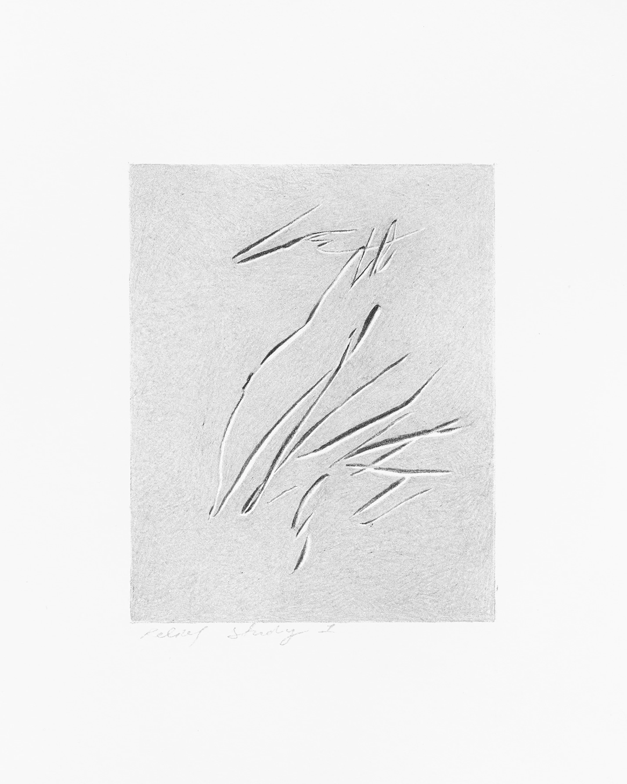 Pencil study for print