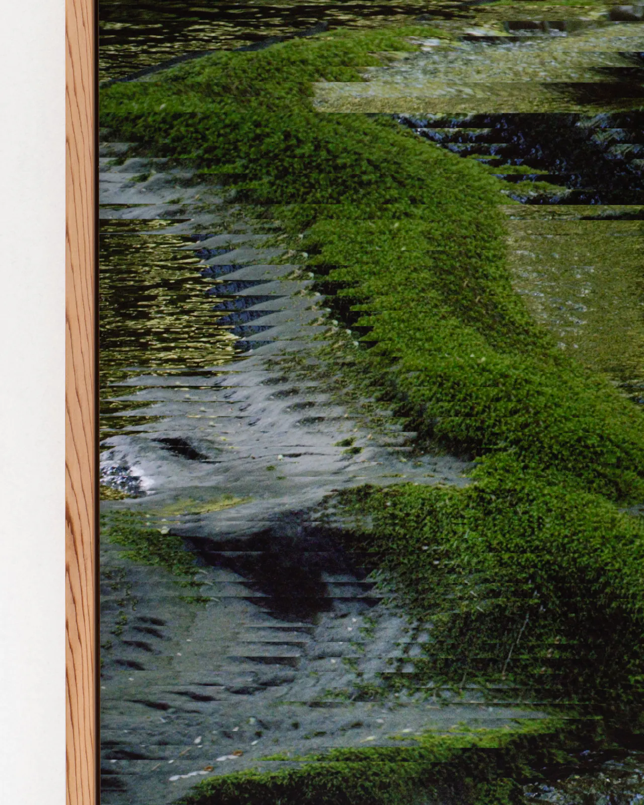 Archival pigment print mounted on dibond, cedar artist frame