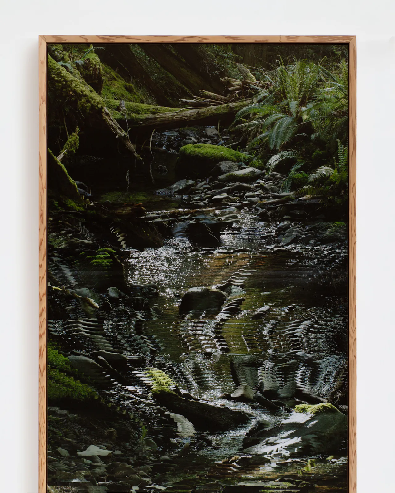 Archival pigment print mounted on dibond, cedar artist frame