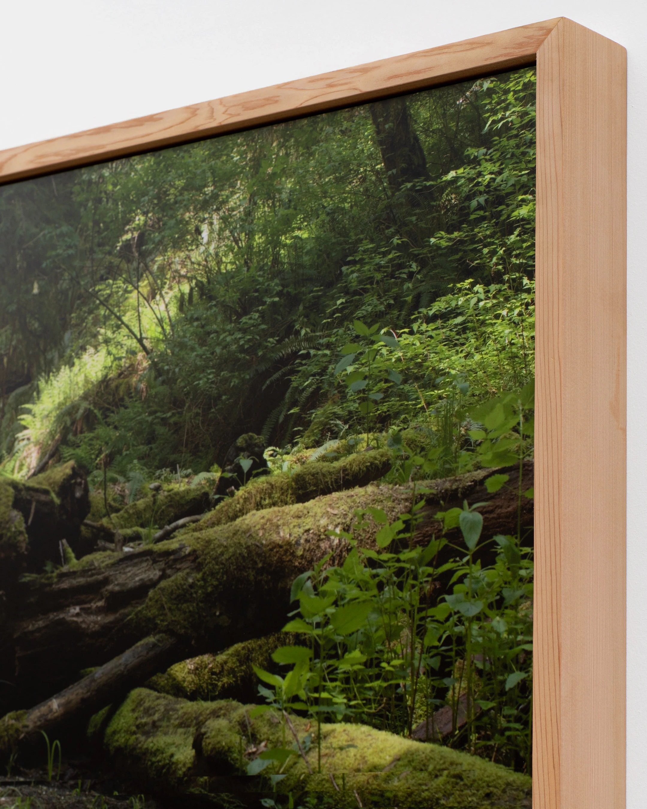 Archival pigment print, mounted on dibond, cedar artist frame