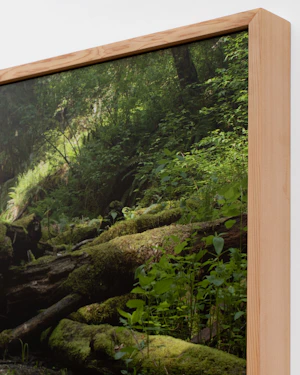 Archival pigment print, mounted on dibond, cedar artist frame