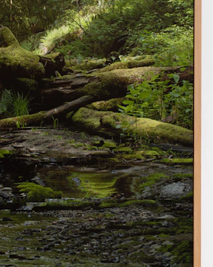 Archival pigment print, mounted on dibond, cedar artist frame