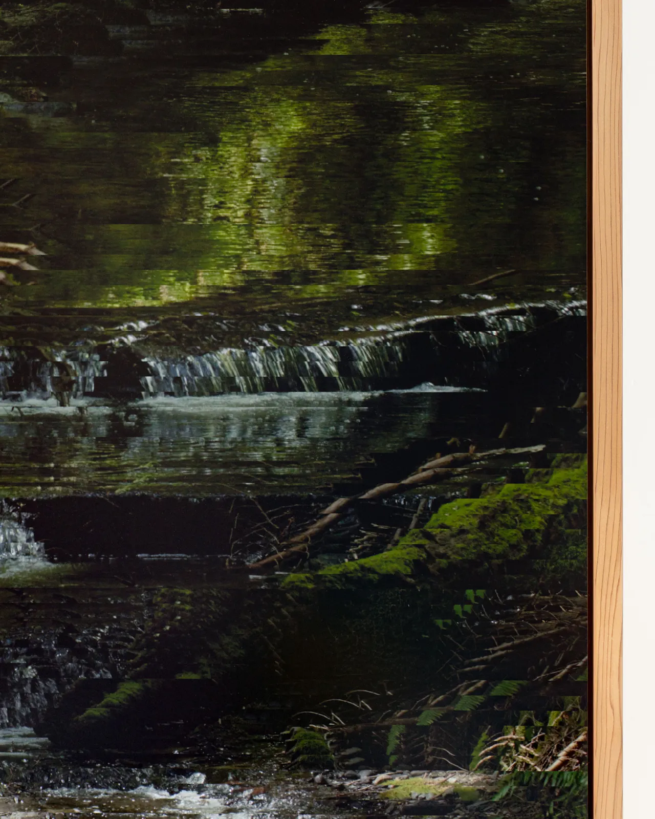 Archival pigment print mounted on dibond, cedar artist frame