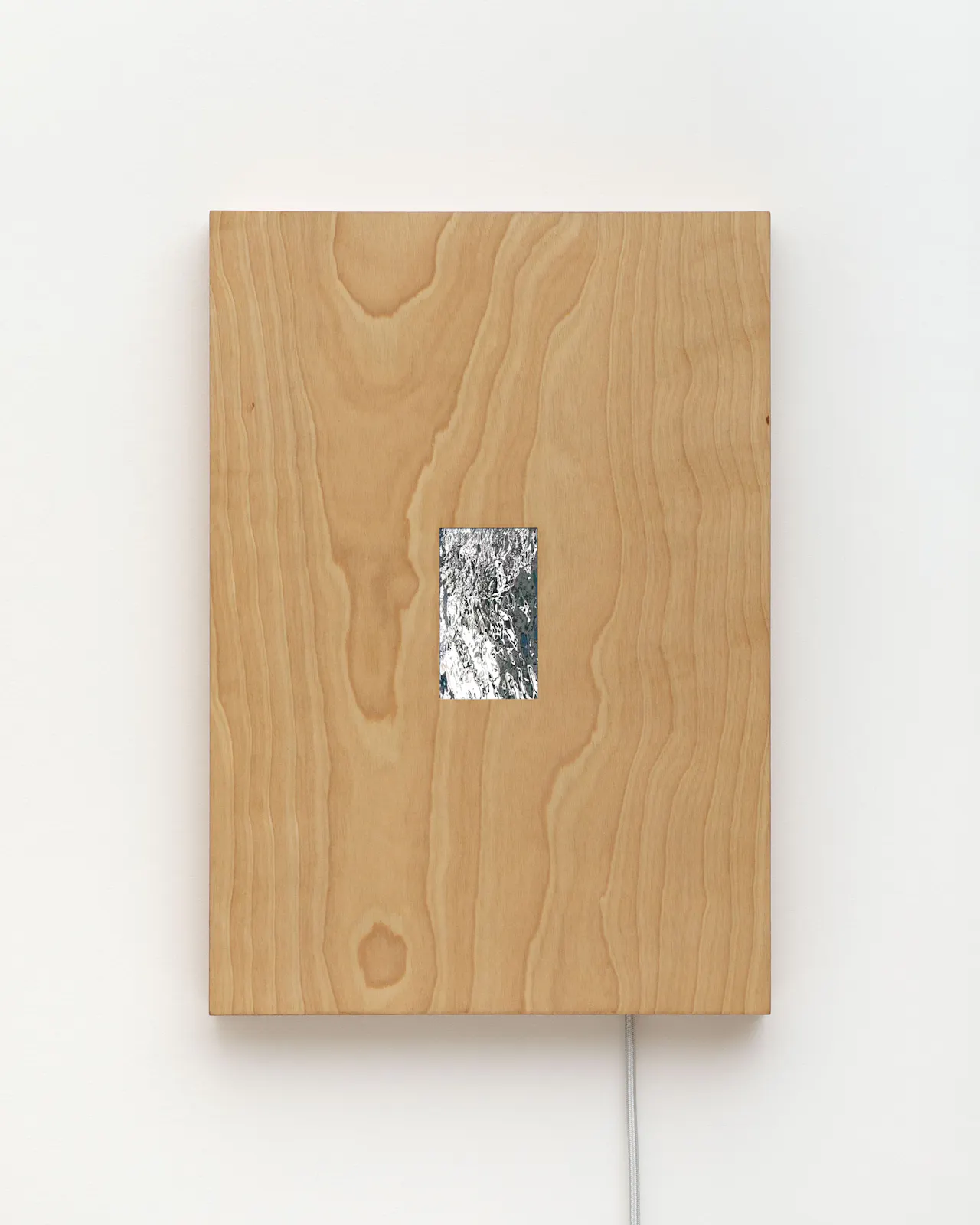 Single-channel video loop, electronic components, birch plywood, cloth-covered cord