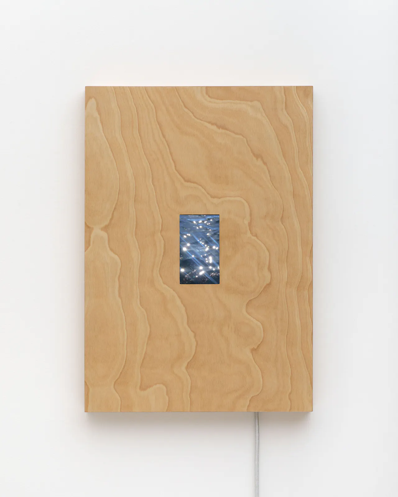 Single-channel video loop, electronic components, birch plywood, cloth-covered cord