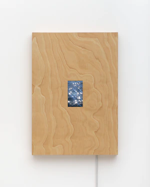 Single-channel video loop, birch artist frame