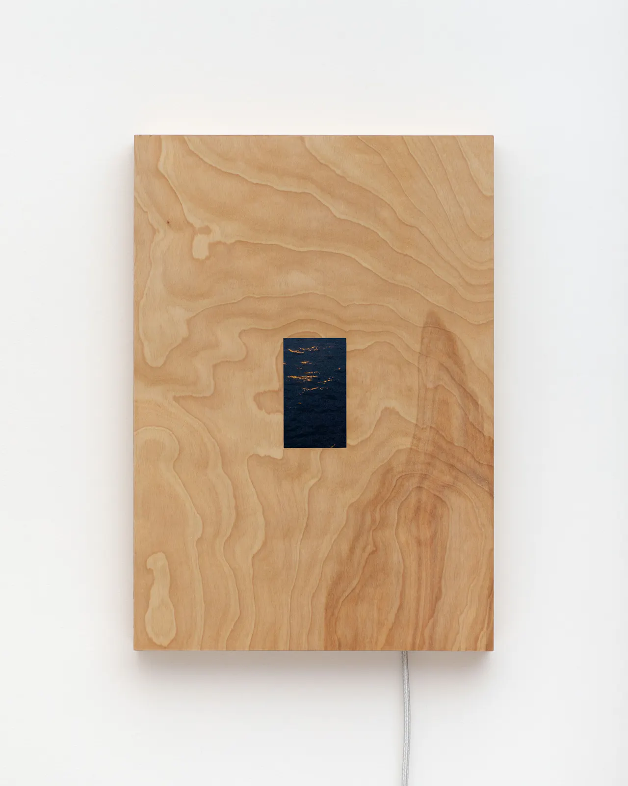 Single-channel video loop, electronic components, birch plywood, cloth-covered cord