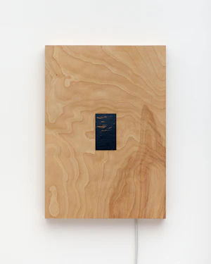 Single-channel video loop, birch artist frame