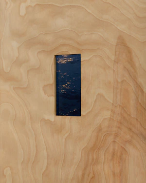 Single-channel video loop, birch artist frame