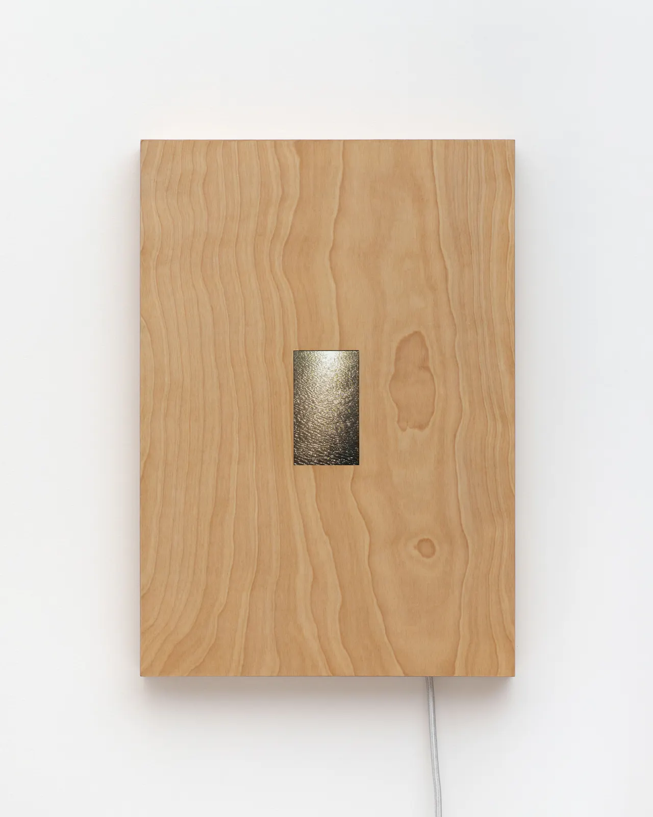 Single-channel video loop, electronic components, birch plywood, cloth-covered cord