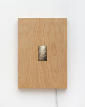 Single-channel video loop, birch artist frame