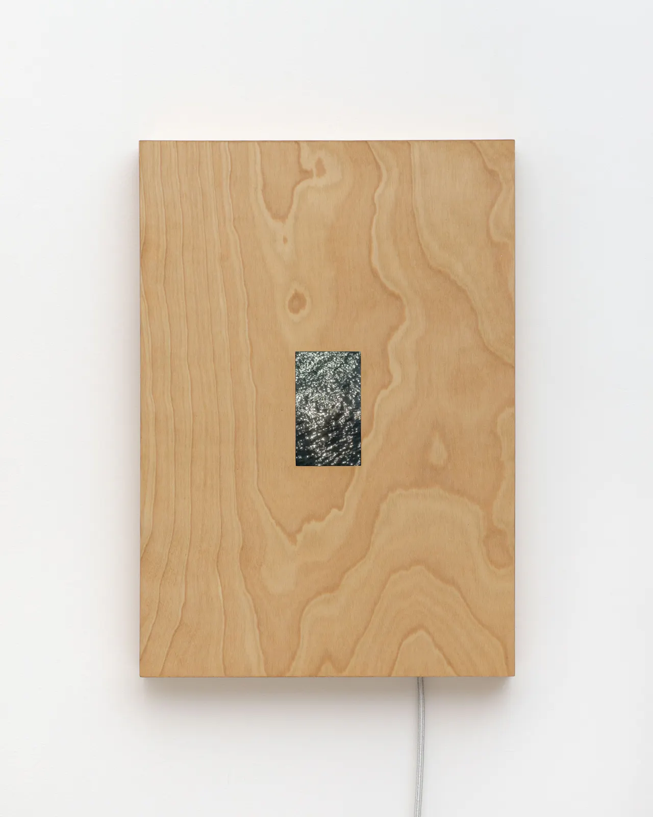 Single-channel video loop, electronic components, birch plywood, cloth-covered cord