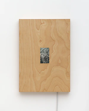 Single-channel video loop, birch artist frame