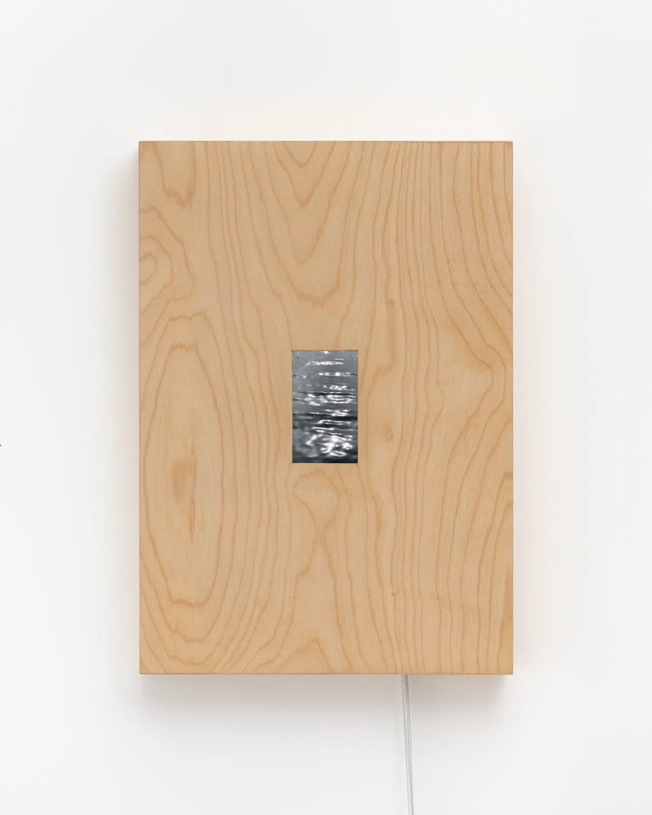 Single-channel video loop, electronic components, birch plywood, cloth-covered cord
